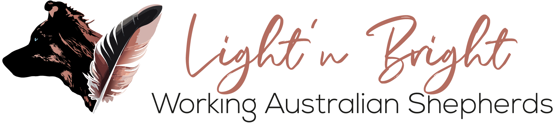 Light'n Bright Aussies