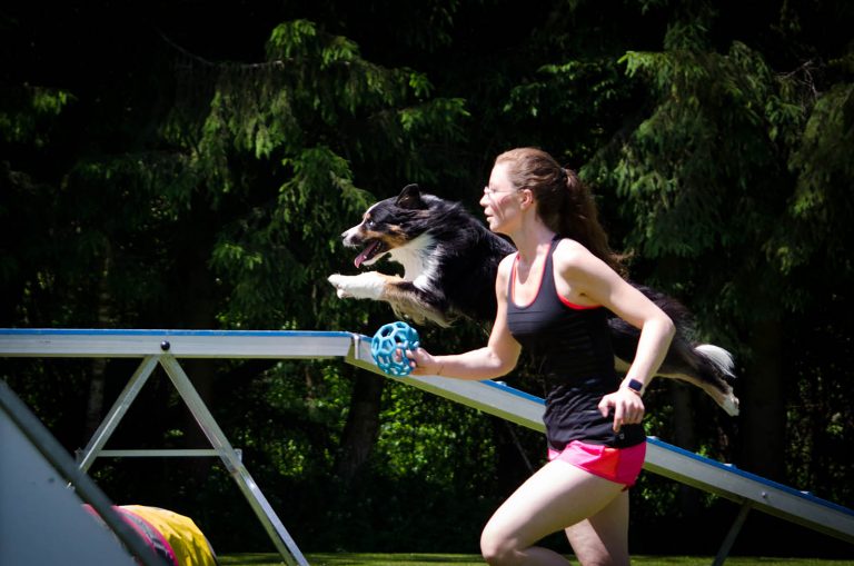 Agility-Training_06-20-0437
