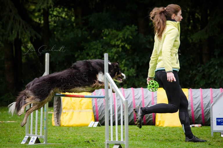 AgilitySeminar-GHVWaldmuenchen_09-20_3-0849