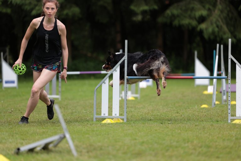 AgilitySeminar-Privat_06-21_3-5947