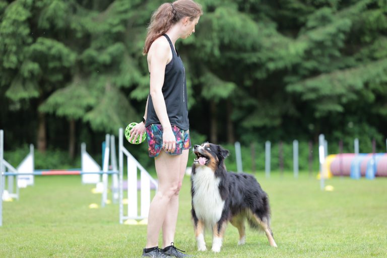 AgilitySeminar-Privat_06-21_3-5966