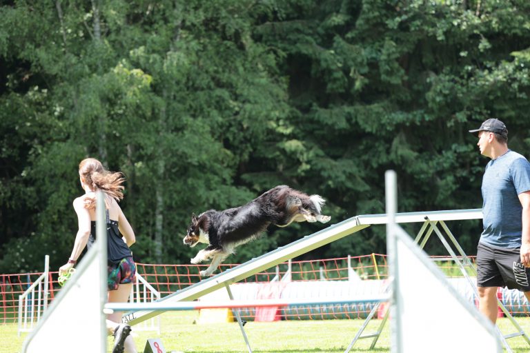 AgilitySeminar-Privat_06-21_3-9458