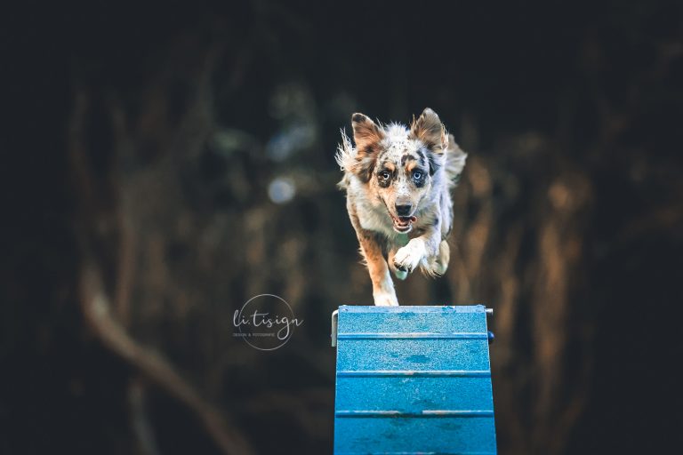 Niya-18Monate_Runnings-Web_12-22-7080