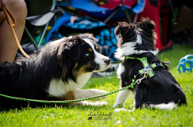 Seminar-Kramers_04-18-35