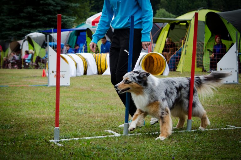 TurnierWaffenbrunn17-0061