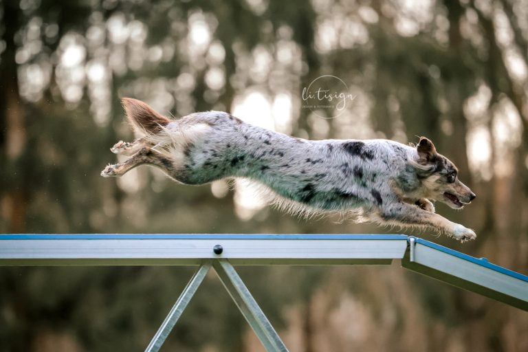 Zuchtbilder-Web_11-24-1105