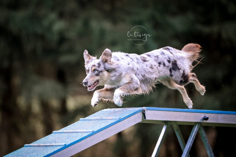 Zuchtbilder-Web_11-24-1197