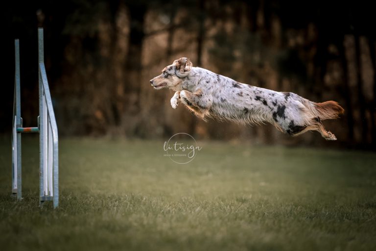 Zuchtbilder-Web_11-24-1316