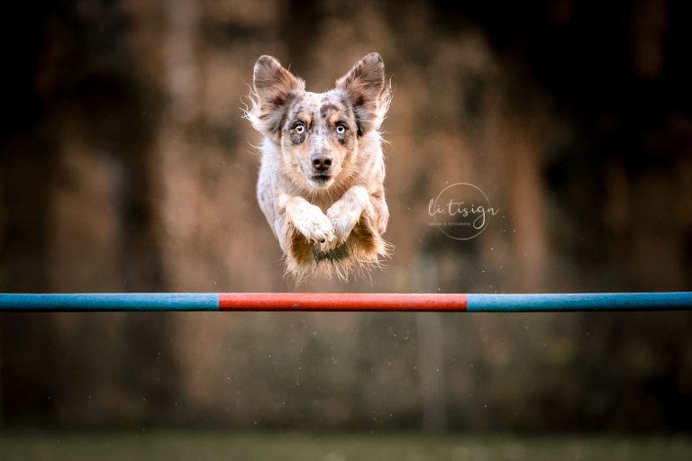 Zuchtbilder-Web_11-24-1403