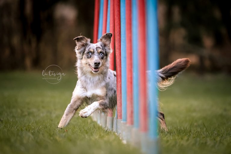 Zuchtbilder-Web_11-24-1548