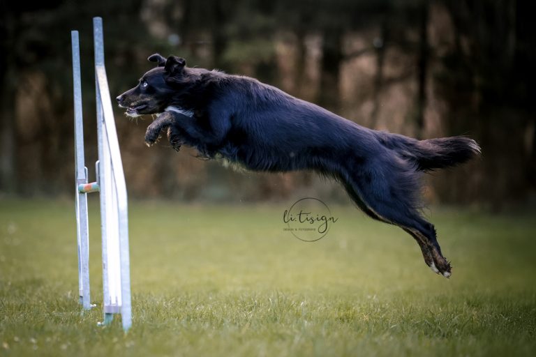 Zuchtbilder-Web_11-24-1654