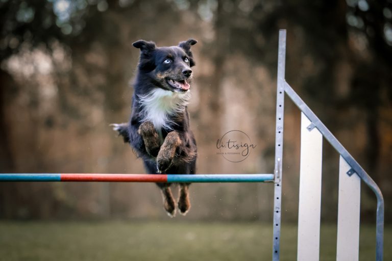 Zuchtbilder-Web_11-24-1718